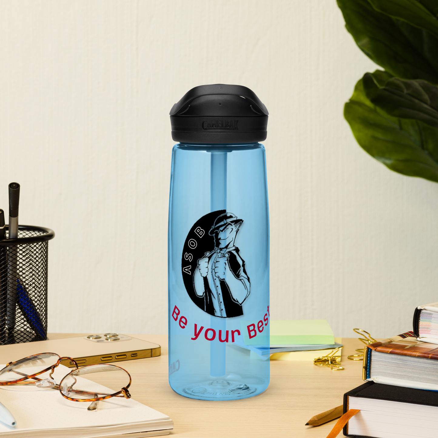 Sports water bottle