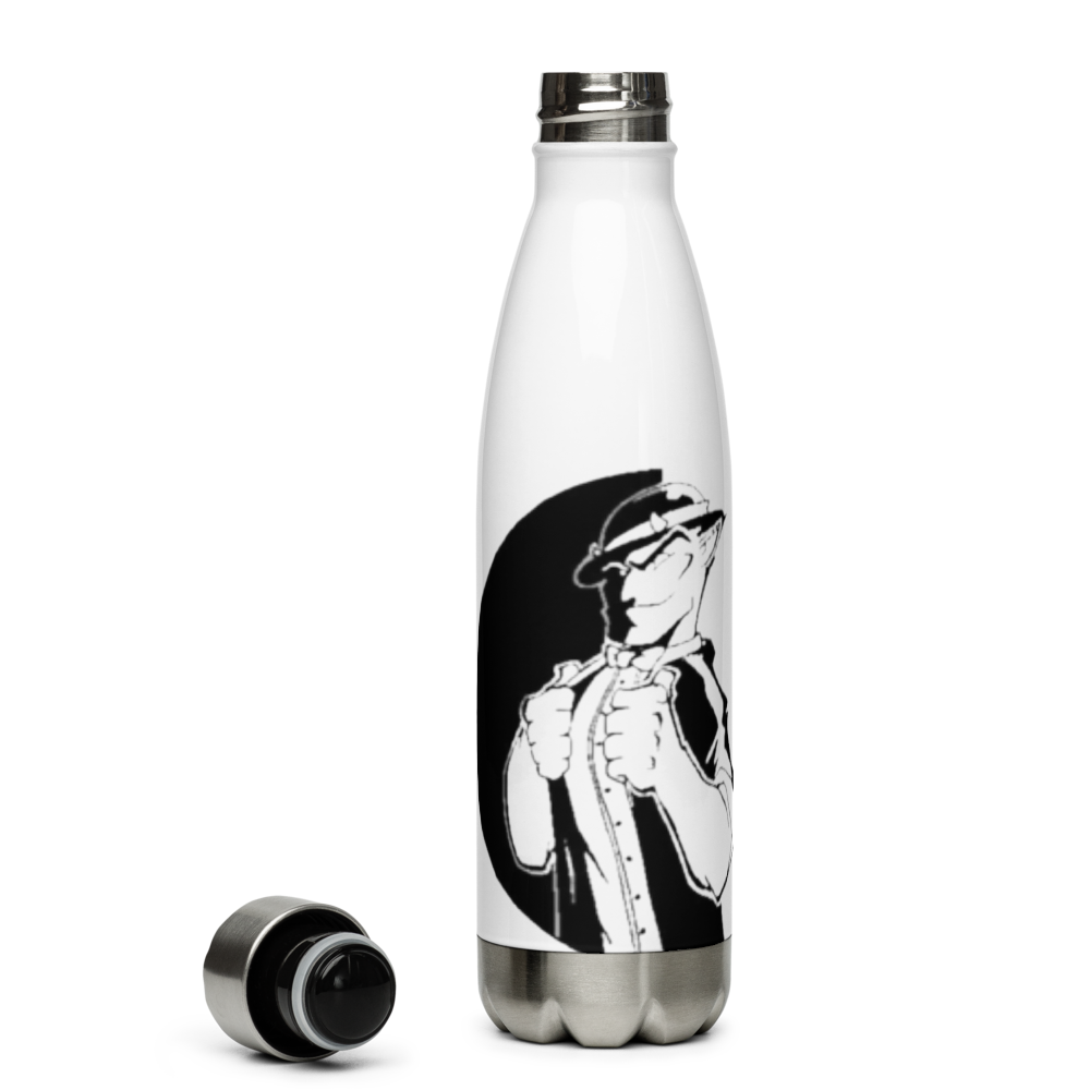 Stainless steel water bottle